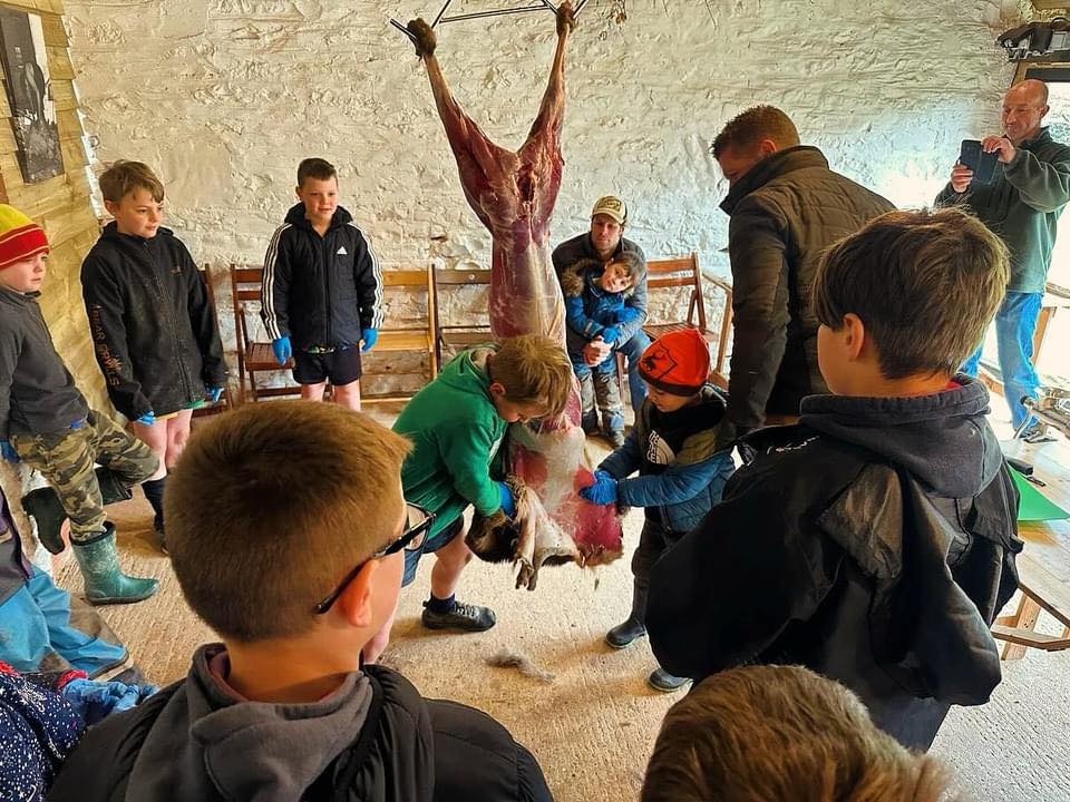 Children learning where their food comes from on Exmoor