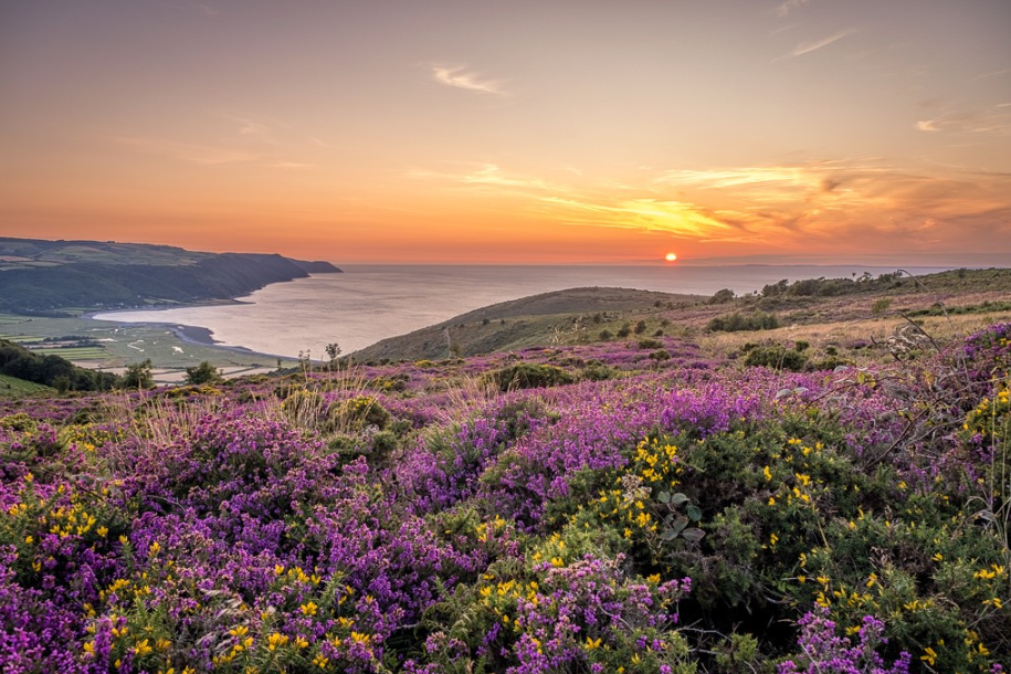 Sunset from Bossington Hill - Shaun Davey