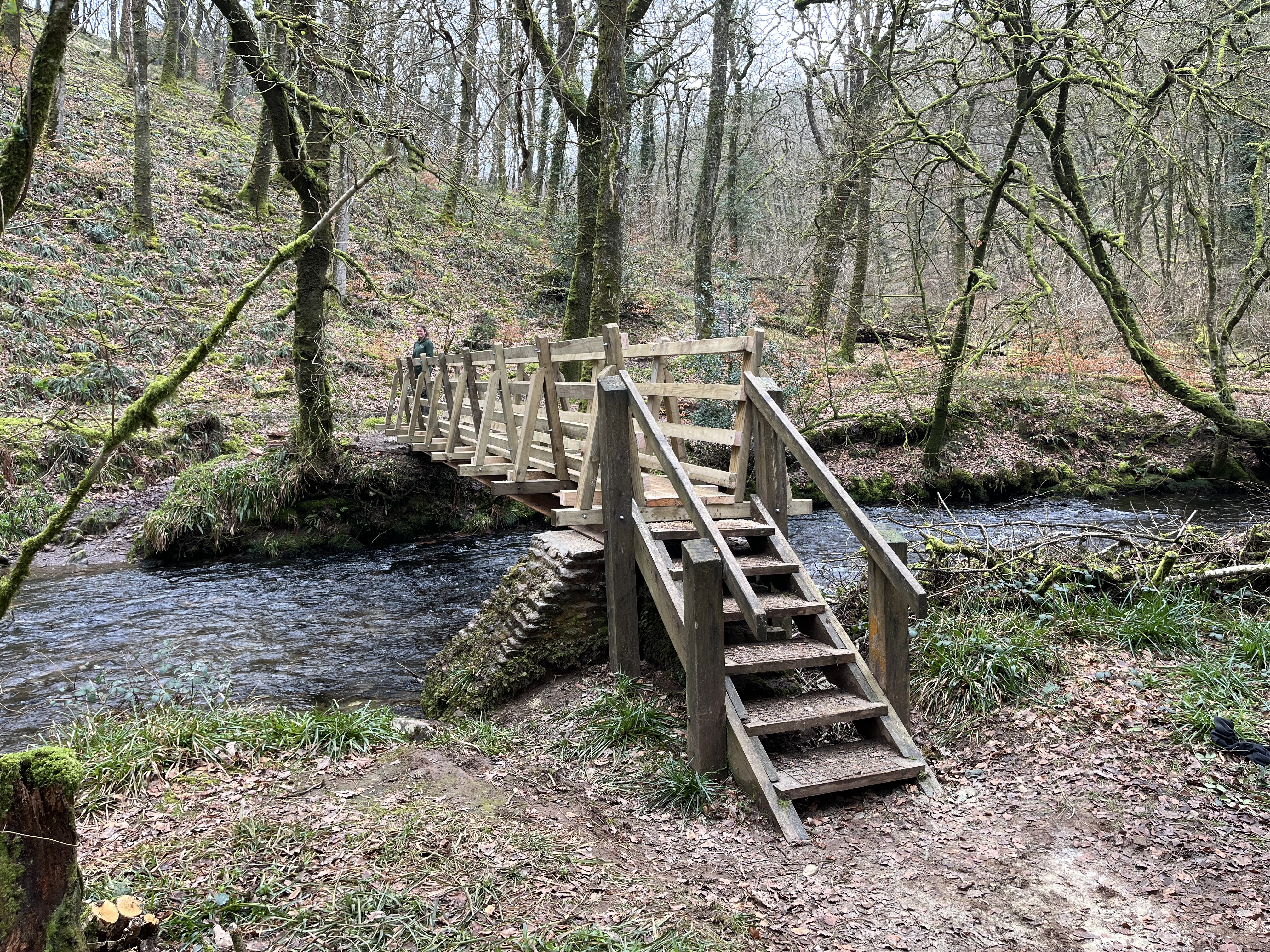 Venford Wood Footbridge finished