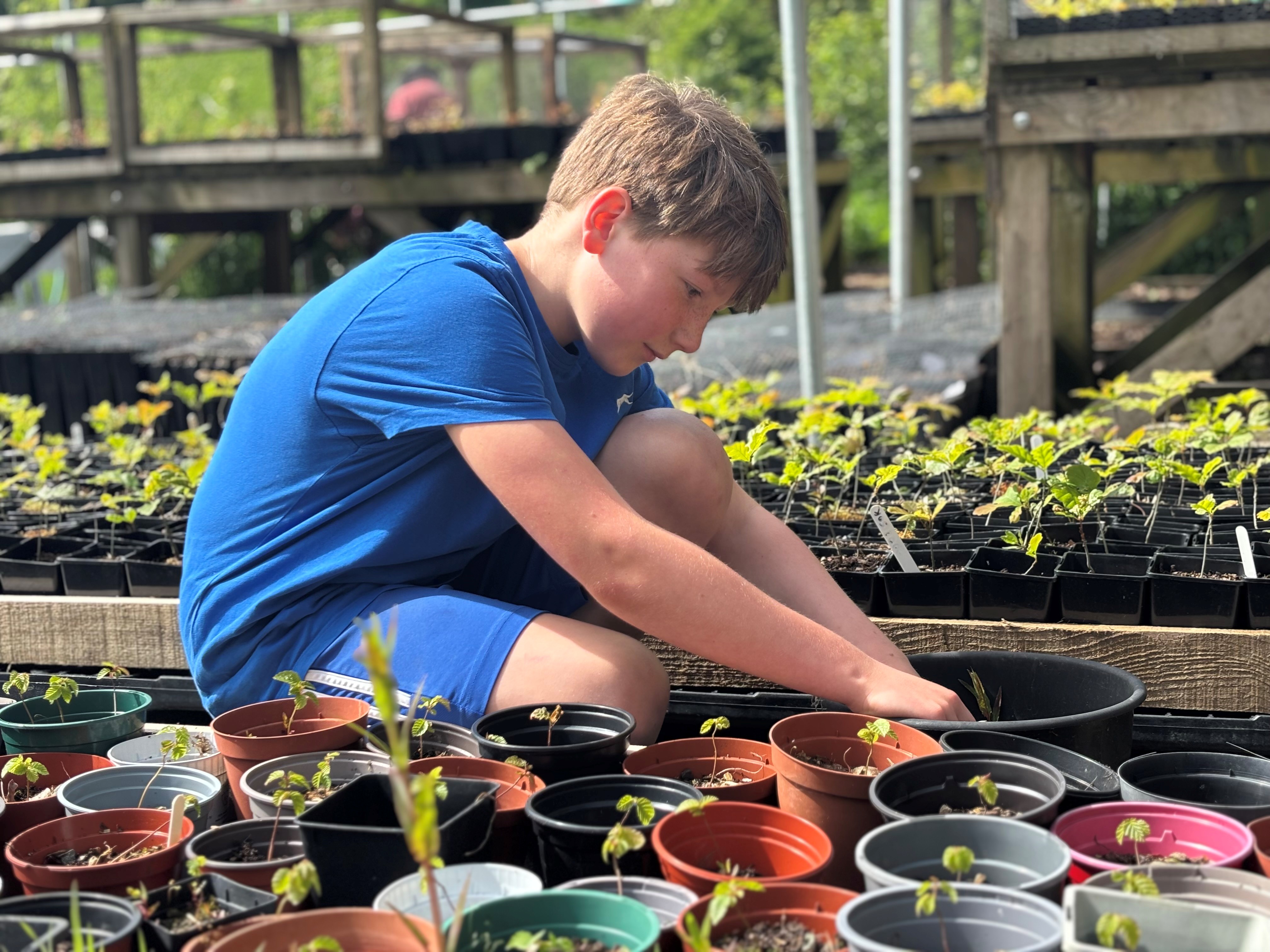 Tree Nursery Day