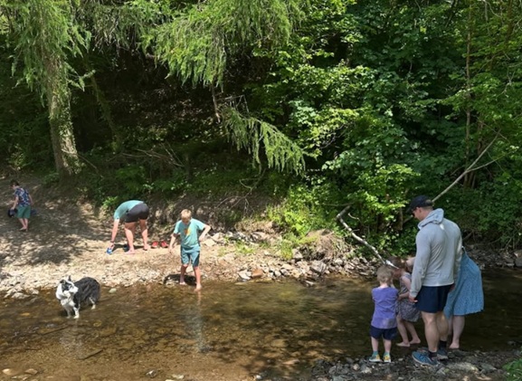 Farm Tour Fun at West Ilkerton Farm Farm Tour at the stream