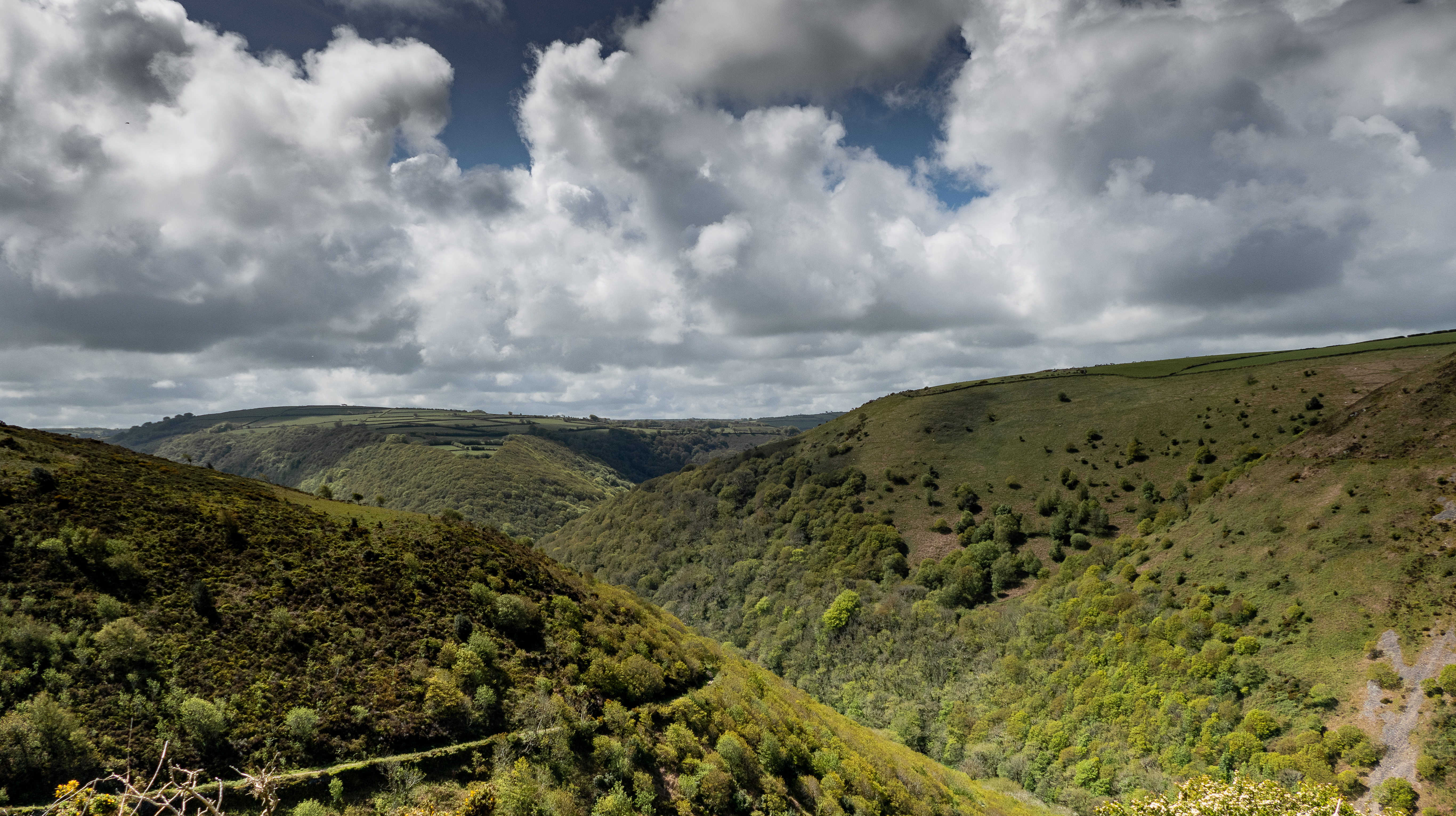 Heddon Valley