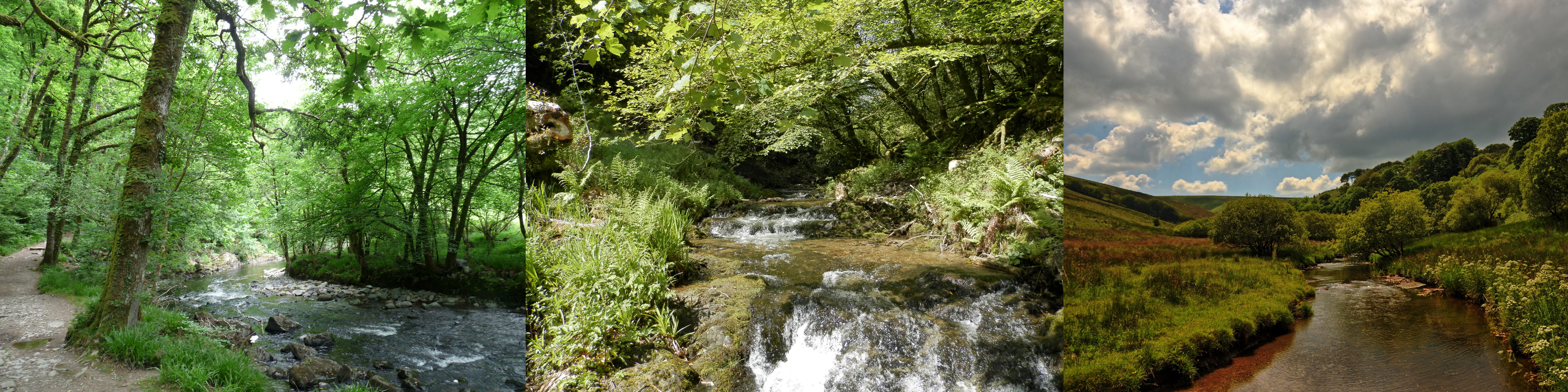 Exmoor river images