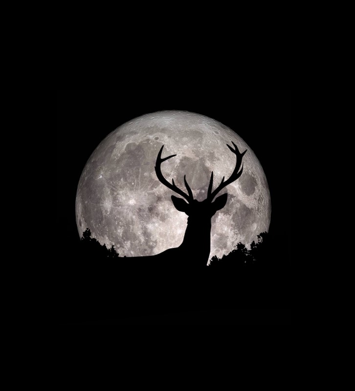 WiveyPool - Dimspy Dip - Buck Moon