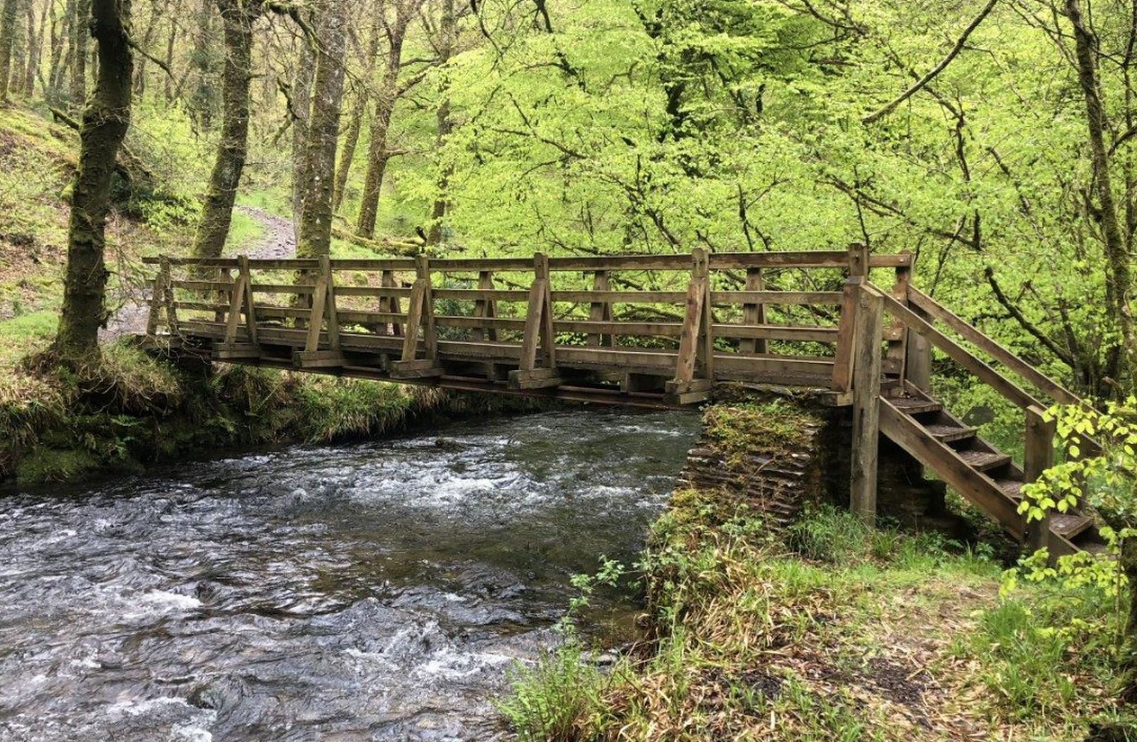 footbridge