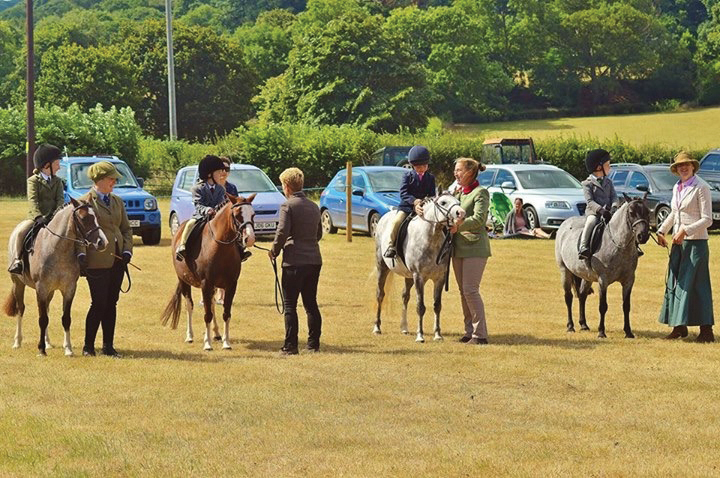 Photo of Horse show