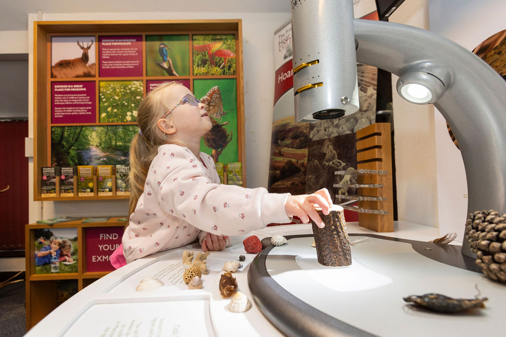A child exploring artefacts under a ditial microscope at Exmoor National Park Centre Dunster