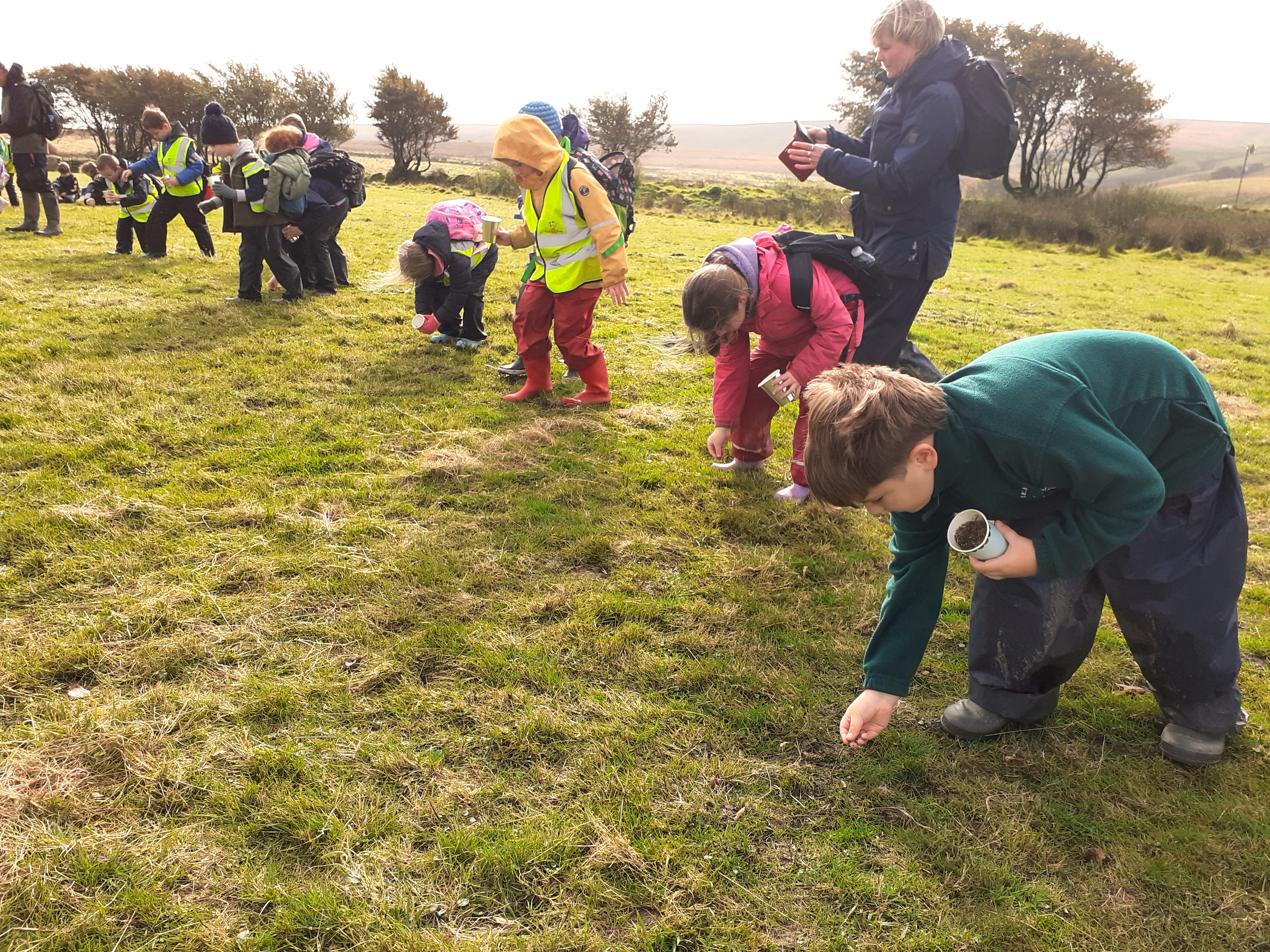 Children distributing seed