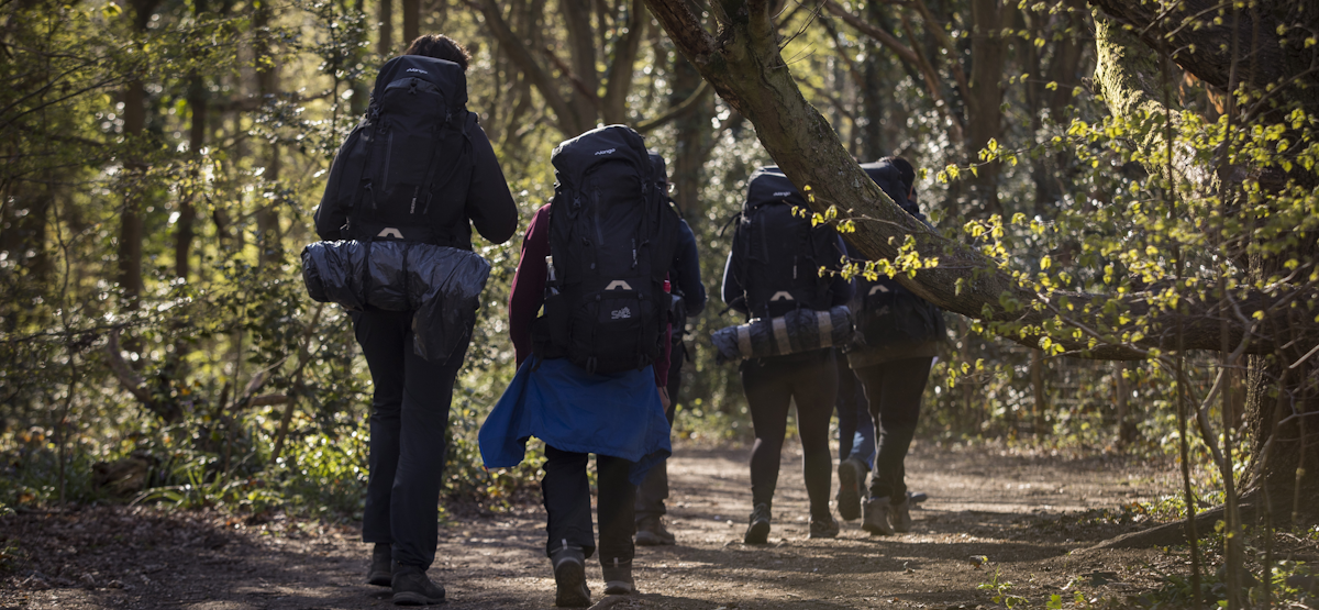 Walkers in an Exmoor Woodland