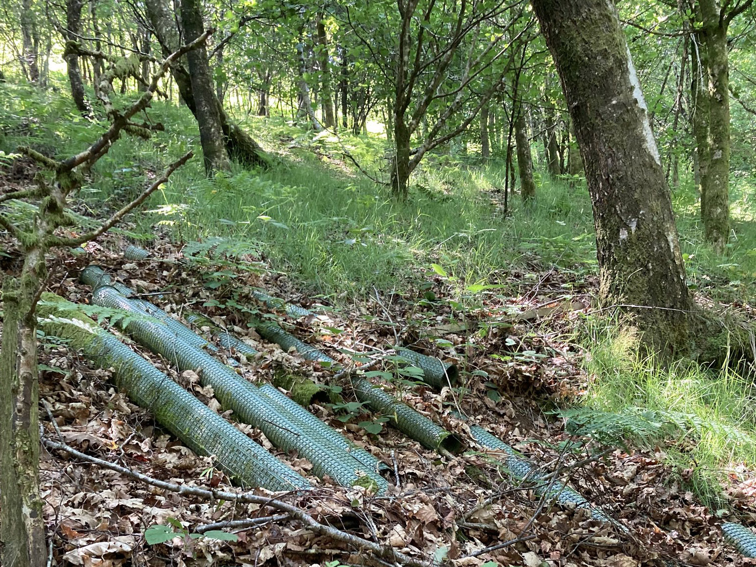 tree guard clearance
