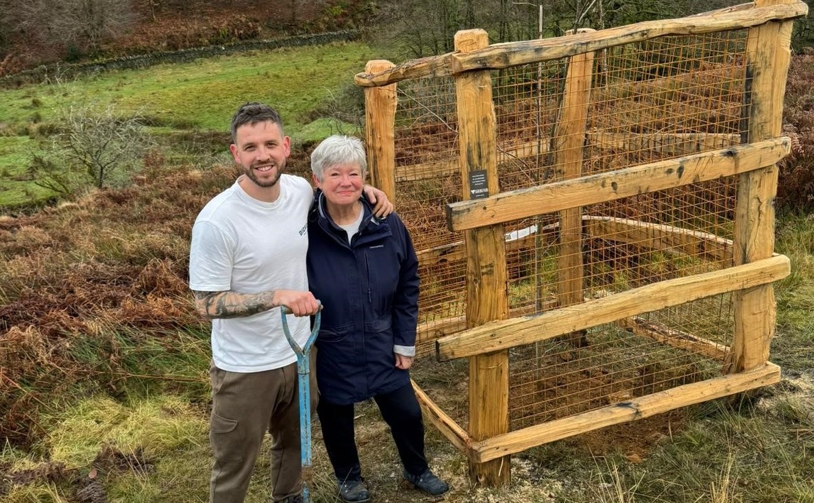 Parkland tree appeal