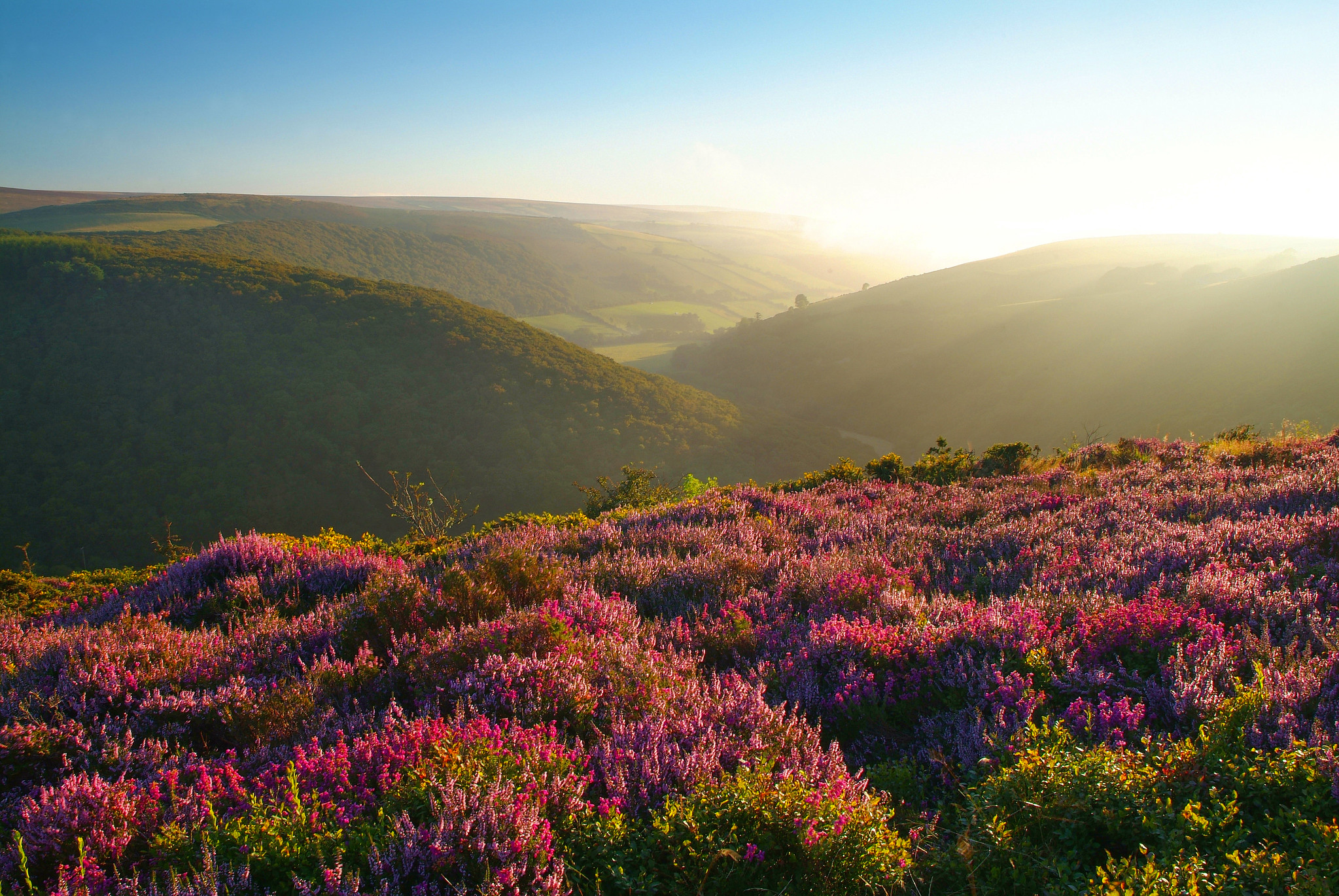 View from County Gate by Neville Stanikk