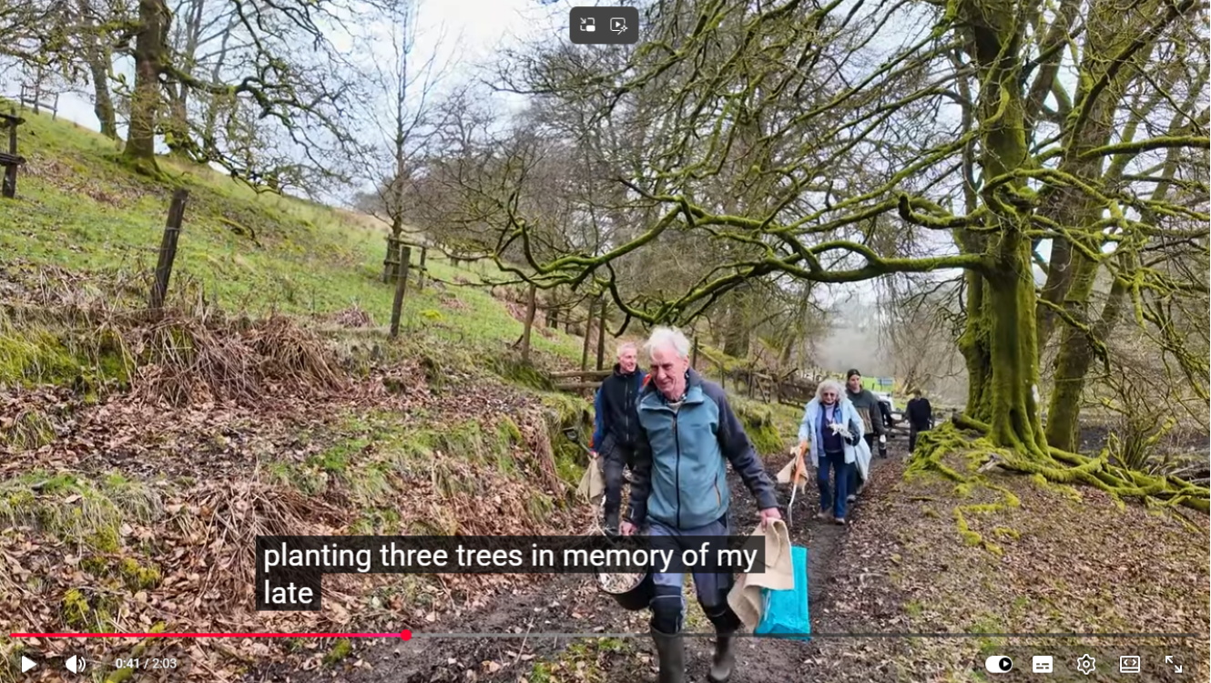 Parkland Tree Video Screenshot