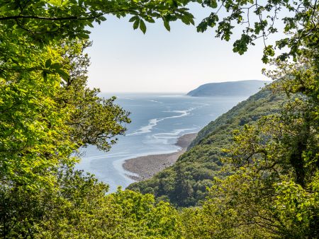 Exmoor's wooded coastline - The Salt Path / South West Coast Path by Shaun Davey (via Exmoor Commons)