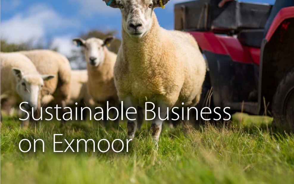 Sustainable Business on Exmoor