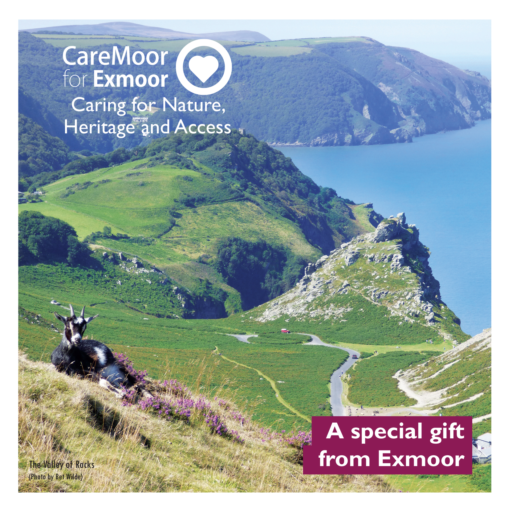 CareMoor for Exmoor gift Card
