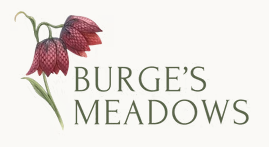 Burge's Meadow