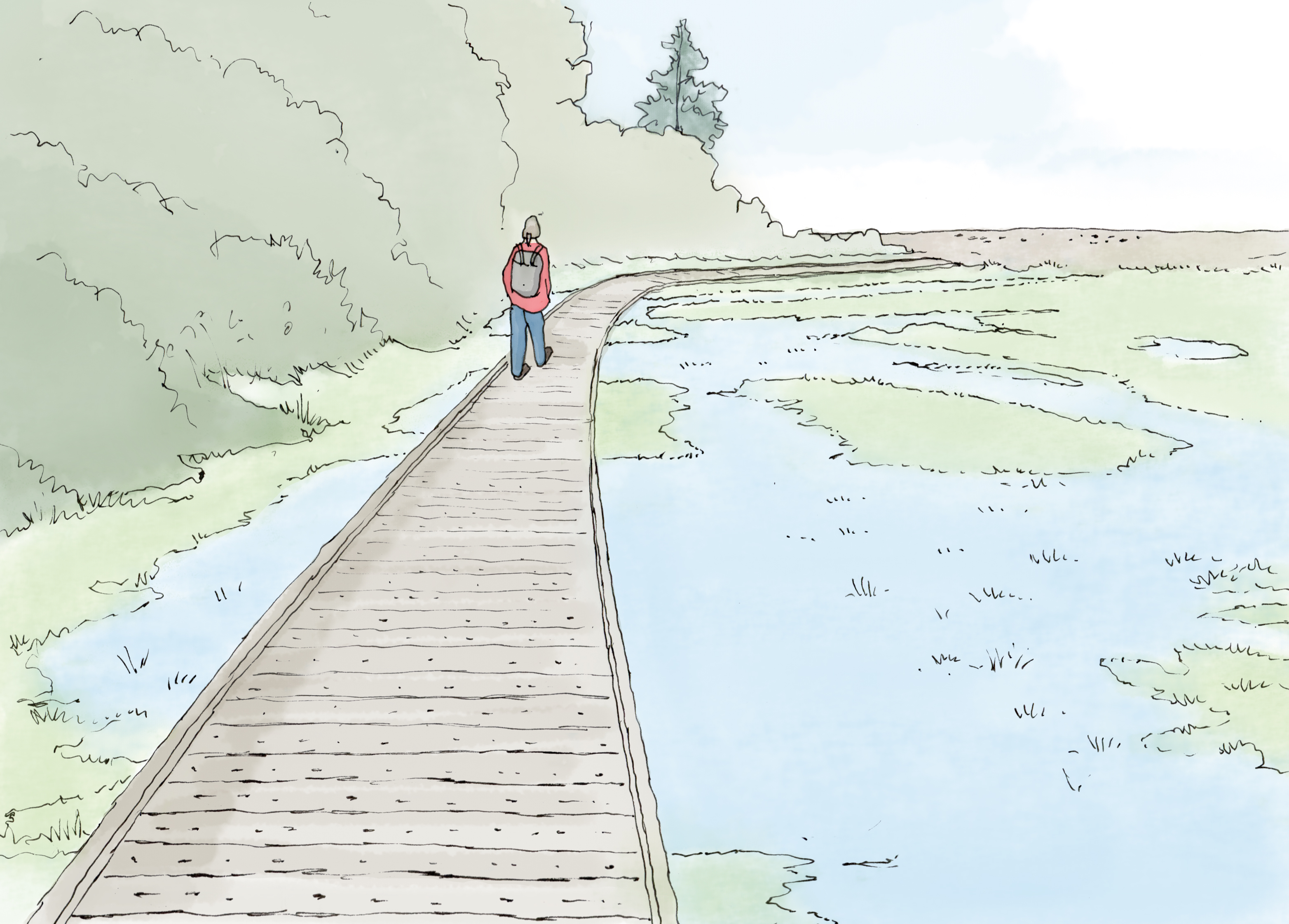New Porlock boardwalk artist impression