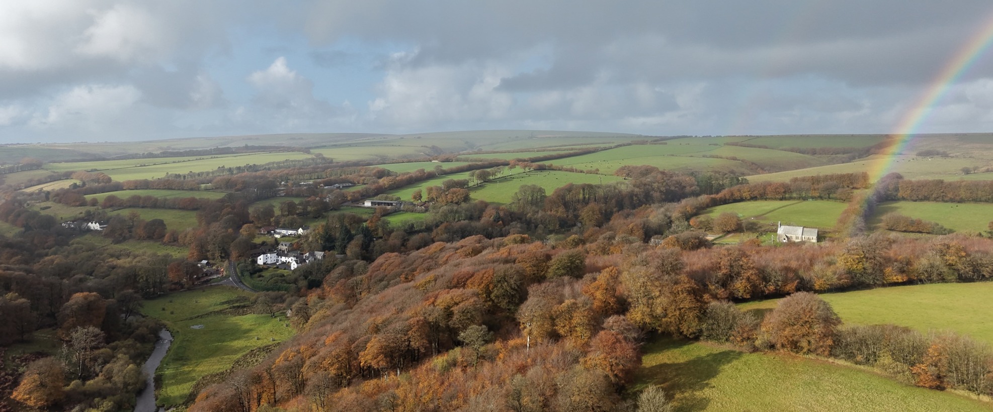 woodland and rainbow
